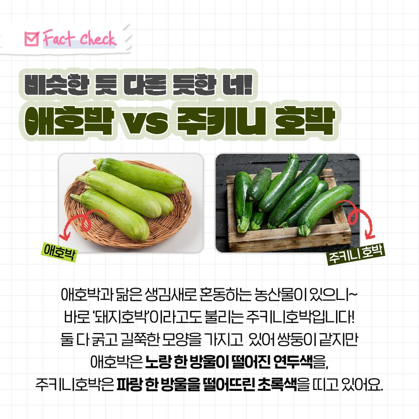 Fact Check 비슷한 듯 다른 듯한 너! 애호박 vs 주키니 호박 애호박 주키니 호박 애호박과 닮은 생김새로 혼동하는 농산물이 있으니~ 바로 '돼지호박'이라고도 불리는 주키니호박입니다! 둘 다 굵고 길쭉한 모양을 가지고 있어 쌍둥이 같지만 애호박은 노랑 한 방울이 떨어진 연두색을, 주키니호박은 파랑 한 방울을 떨어뜨린 초록색을 띠고 있어요.