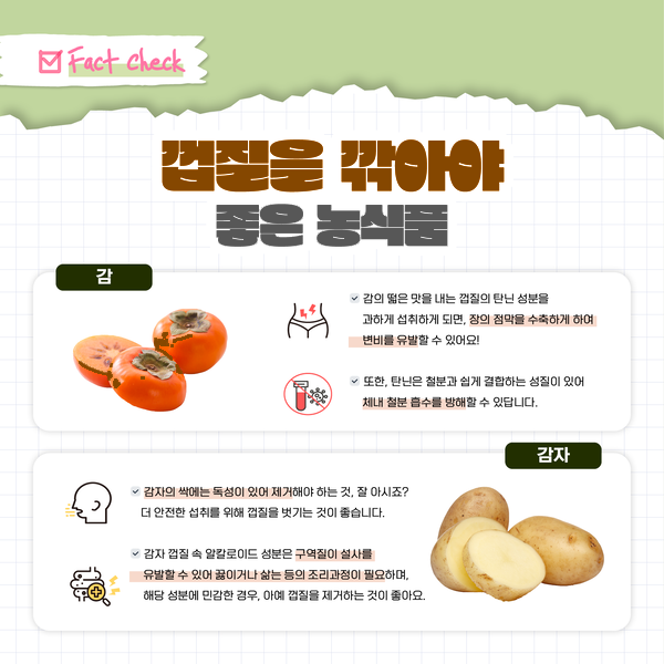 Fact Check 껍질을 깎아야 좋은 농식품 감 감의 떫은 맛을 내는 껍질의 탄닌 성분을 과하게 섭취하게 되면, 장의 점막을 수축하게 하여 변비를 유발할 수 있어요! 또한, 탄닌은 철분과 쉽게 결합하는 성질이 있어 체내 철분 흡수를 방해할 수 있답니다. 감자 감자의 싹에는 독성이 있어 제거해야 하는 것, 잘 아시죠? 더 안전한 섭취를 위해 껍질을 벗기는 것이 좋습니다. 감자 껍질 속 알칼로이드 성분은 구역질이나 설사를 유발할 수 있어 끓이거나 삶는 등의 조리과정이 필요하며, 해당 성분에 민감한 경우, 아예 껍질을 제거하는 것이 좋아요.