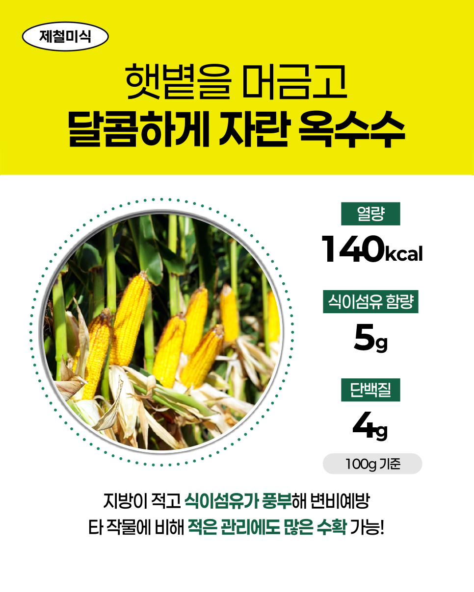 제철미식. 햇볕을 머금고 달콤하게 자란 옥수수. 100g 기준 열량 140kcal, 식이섬유 함량 5g, 단백질 4g. 지방이 적고 식이섬유가 풍부해 변비예방. 타 작물에 비해 적은 관리에도 많은 수확 가능!