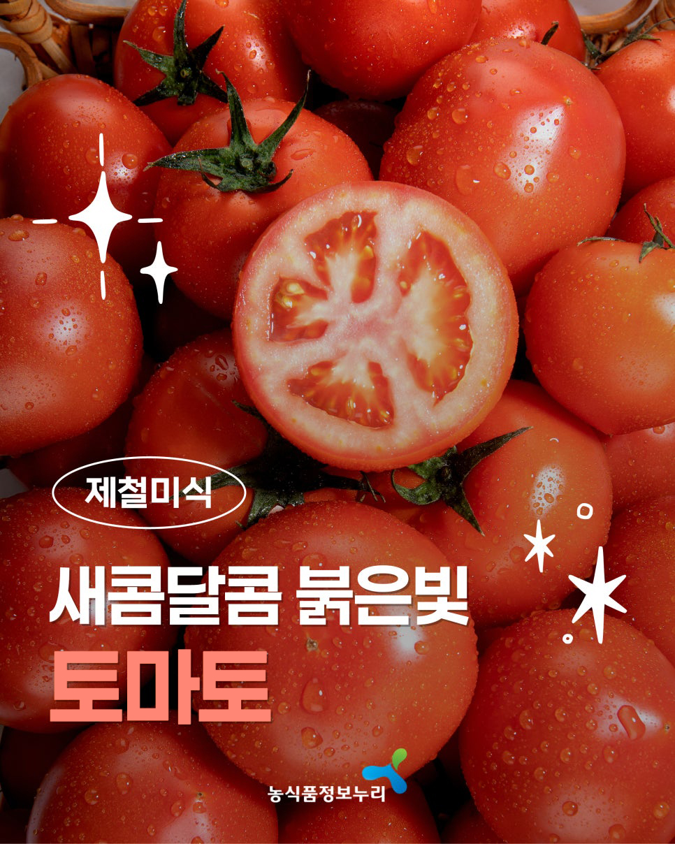 제철미식. 새콤달콤 붉은빛 토마토. 농식품정보누리