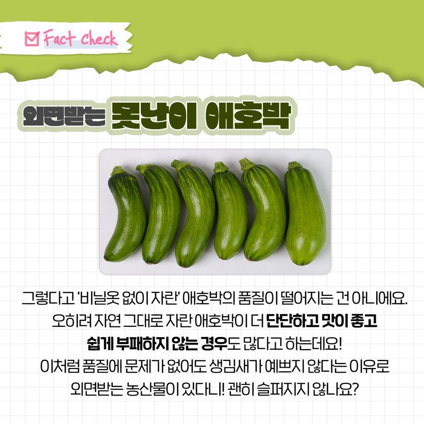 Fact Check 외면받는 못난이 애호박 그렇다고 '비닐옷 없이 자란' 애호박의 품질이 떨어지는 건 아니에요. 오히려 자연 그대로 자란 애호박이 더 단단하고 맛이 좋고 쉽게 부패하지 않는 경우도 많다고 하는데요! 이처럼 품질에 문제가 없어도 생김새가 예쁘지 않다는 이유로 외면받는 농산물이 있다니! 괜히 슬퍼지지 않나요?