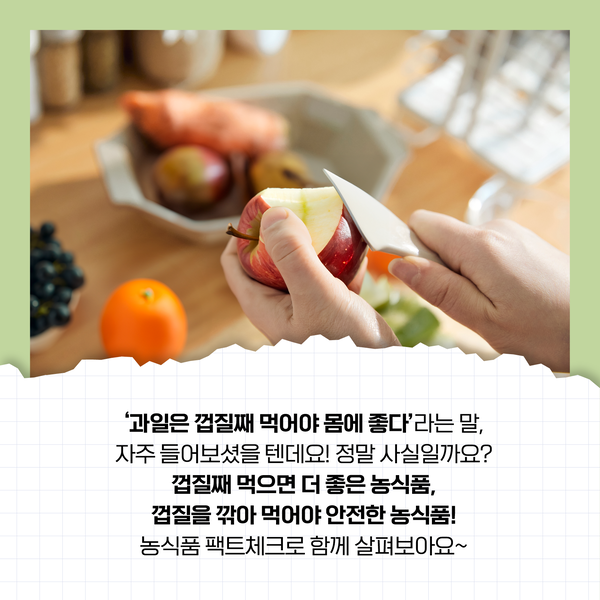 ‘과일은 껍질째 먹어야 몸에 좋다’라는 말, 자주 들어보셨을 텐데요! 정말 사실일까요? 껍질째 먹으면 더 좋은 농식품, 껍질을 깎아 먹어야 안전한 농식품! 농식품 팩트체크로 함께 살펴보아요~