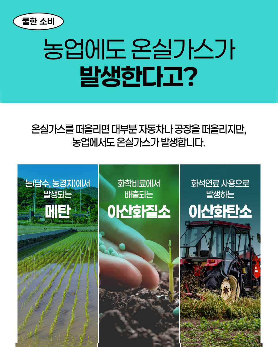쿨한 소비. 농업에도 온실가스가 발생한다고? 온실가스를 떠올리면 대부분 자동차나 공장을 떠올리지만, 농업에서도 온실가스가 발생합니다. 논(담수, 농경지)에서 발생되는 메탄. 화학비료에서 배출되는 아산화질소. 화석연료 사용으로 발생하는 이산화탄소.