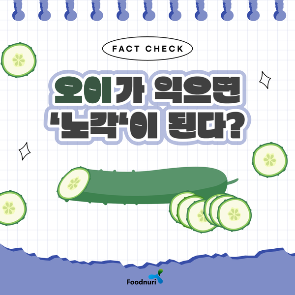FACT CHECK 오이가 익으면 ‘노각’이 된다? Foodnuri