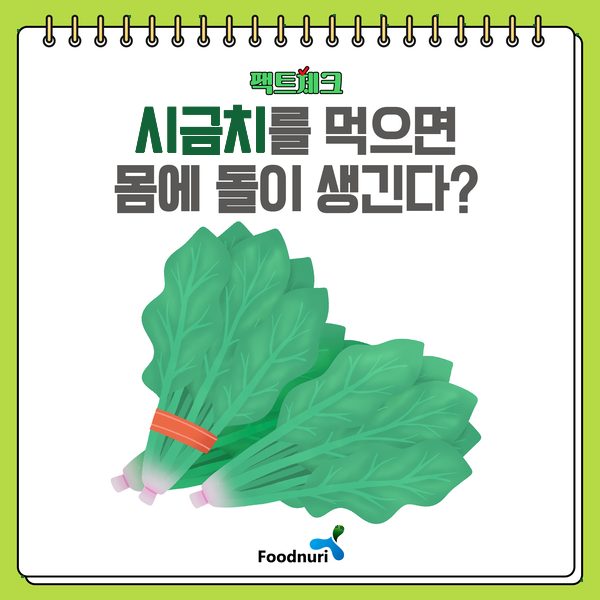 팩트체크. 시금치를 먹으면 몸에 돌이 생긴다?
