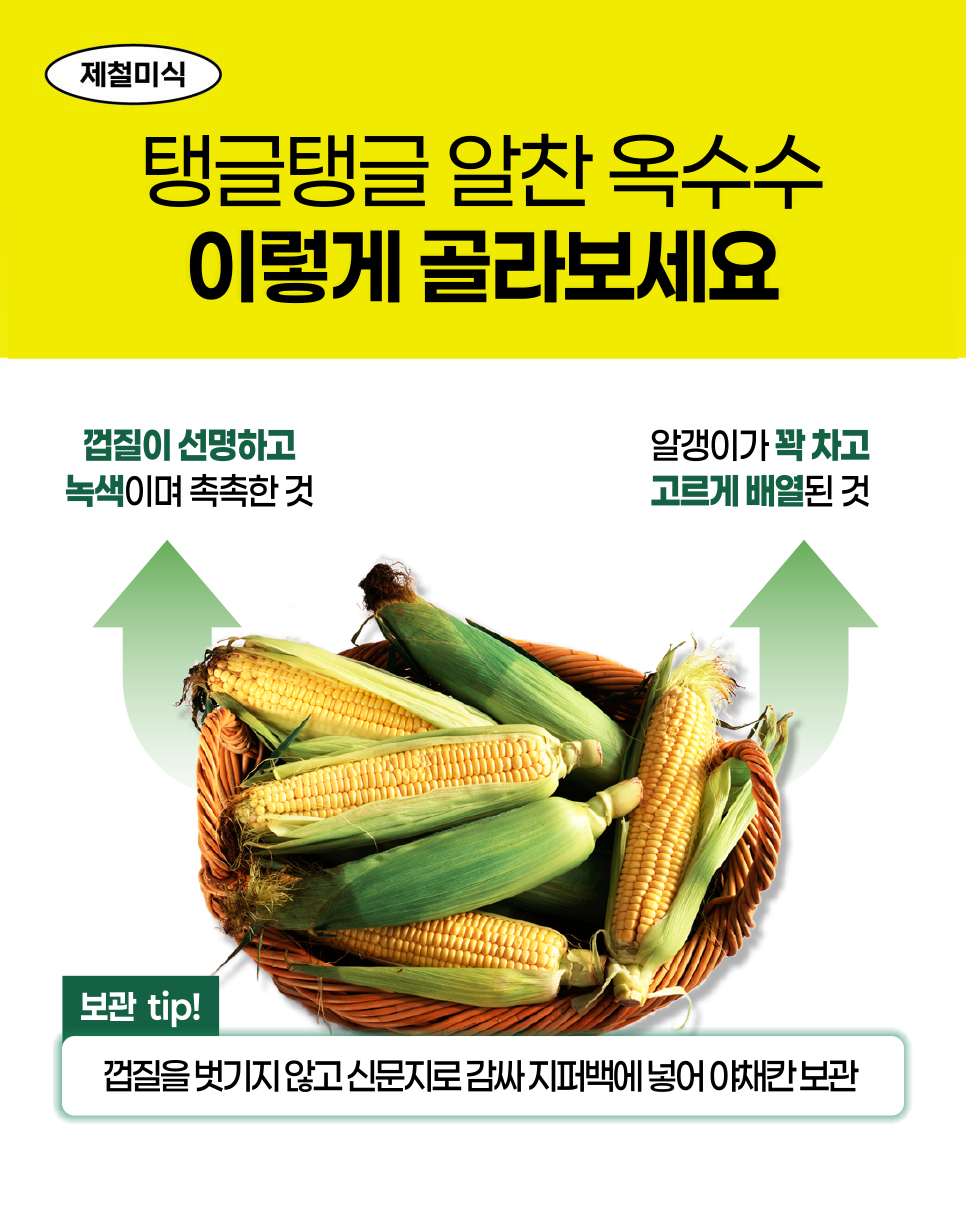 제철미식. 탱글탱글 알찬 옥수수 이렇게 골라보세요. 껍질이 선명하고 녹색이며 촉촉한 것. 알갱이가 꽉 차고 고르게 배열된 것. 보관 tip! 껍질을 벗기지 않고 신문지로 감싸 지퍼백에 넣어 야채칸 보관.