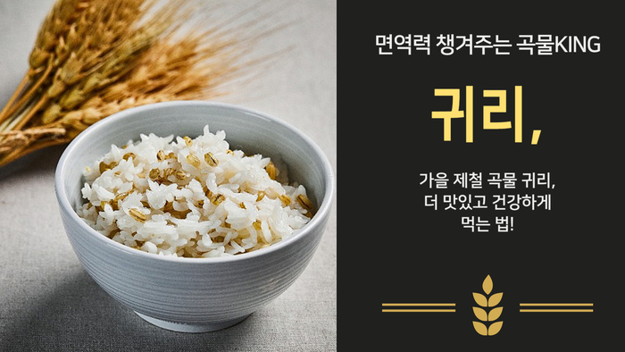 면역력 챙겨주는 곡물KING 귀리, 가을 제철 곡물 귀리, 더 맛있고 건강하게 먹는 법!