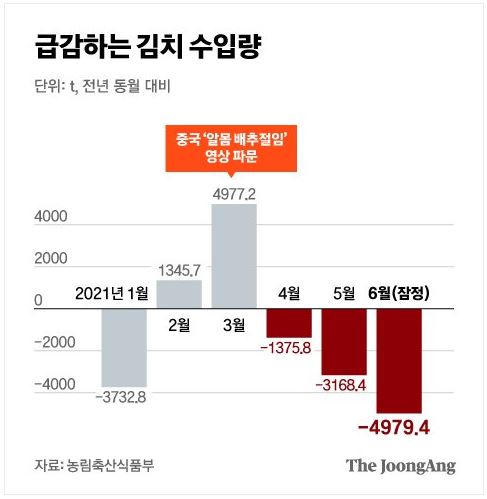 급감하는 김치 수입량(단위:t, 전년 동월 대비) - 2021년 1월 -3732.8 / 2월 1345.7 / 3월 4977.2(중국'맨몸 배추절임'영상 파문) / 4월 -1375.8 / 5월 -3168.4 / 6월(잠정) -4979.4 - 자료:농림축산식품부 TheJoongAng