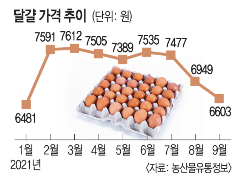 달걀 가격 추이(단위:원) 2021년 1월 6481부터 매월 7591,7612,4505,7389,7535,7477,6949,6603(자료:농산물유통정보)