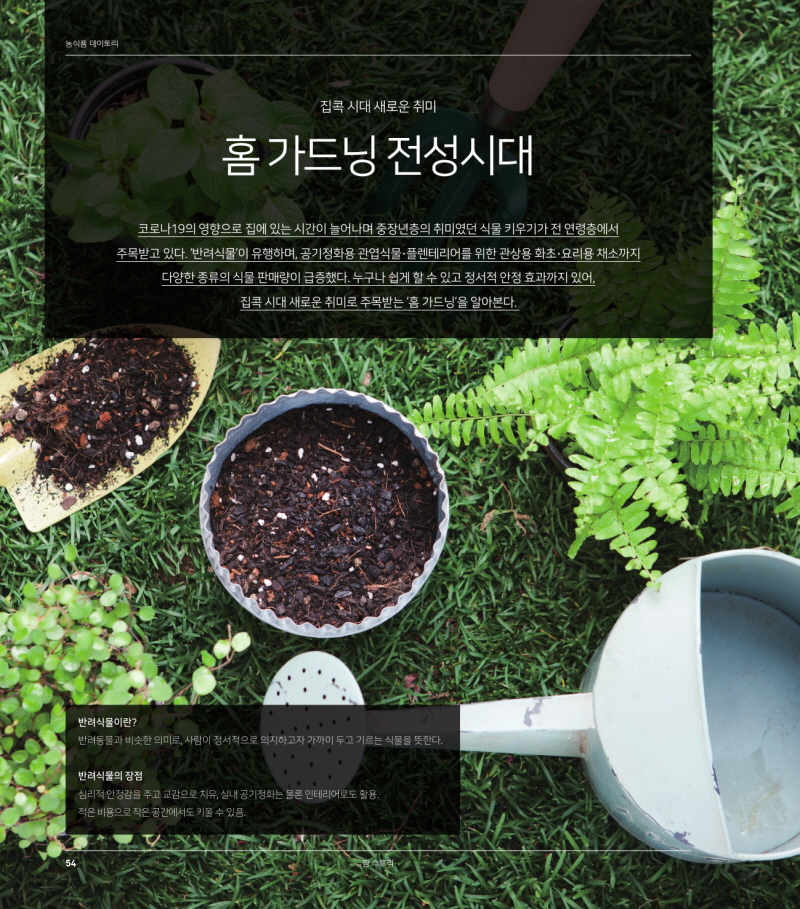 농식품 데이토리
집콕 시대 새로운 취미
홈가드닝 전성시대
코로나19의 영향으로 집에 있는 시간이 늘어나며 중장년층의 취미였던 식물 키우기가 전 연령층에서 주목받고 있다. '반려식물이 유행하며, 공기정화용 관엽식물 플렌테리어를 위한 관상용 화초·요리용 채소까지
다양한 종류의 식물 판매량이 급증했다. 누구나 쉽게 할 수 있고 정서적 안정 효과까지 있어,
집콕 시대 새로운 취미로 주목받는 '홈 가드닝'을 알아본다.
반려식물이란? 반려동물과 비슷한 의미로, 사람이 정서적으로 의지하고자 가까이 두고 기르는 식물을 뜻한다.
반려식물의 장점 심리적 안정감을 주고 교감으로 치유, 실내 공기정화는 물론 인테리어로도 활용. 적은 비용으로 작은 공간에서도 키울 수 있음.
팜 스토리
