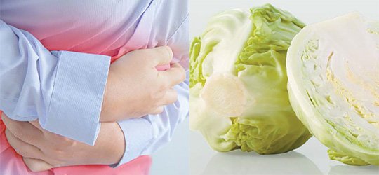 %EC%96%91%EB%B0%B0%EC%B6%94(%EC%B6%9C%EC%B2%98%2C%20%EC%A4%91%EC%95%99%EC%9D%BC%EB%B3%B4).jpg 속 불편한 모습/양배추