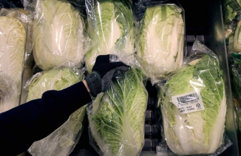 10년만에 첫 3%대…고공행진 물가, 당분간 오를 일만 남았다
 관련사진2