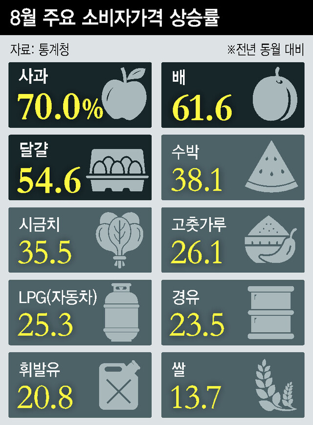 8월 주요 소비자가격 상승률(자료:통계청/※전년 동월 대비) - 사과70%/배61.6%/달걀54.6%/수박38.1%/시금치35.5%/고춧가루26.1%/LPG(자동차)25.3%/경유23.5%/휘발유20.8%/쌀13.7%