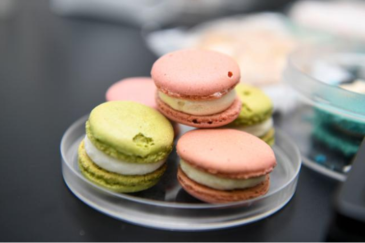 식용 곤충으로 만든 마카롱