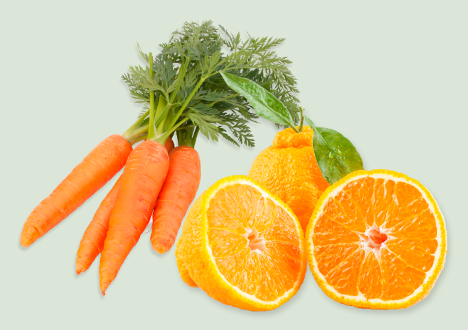 2월의 제철 농산물